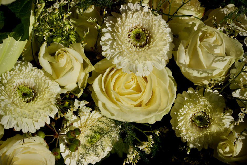 A close-up floral arrangement featuring cream-colored roses and white chrysanthemums with green centers, arranged with dark foliage and small white filler flowers. The bouquet showcases fresh, texture