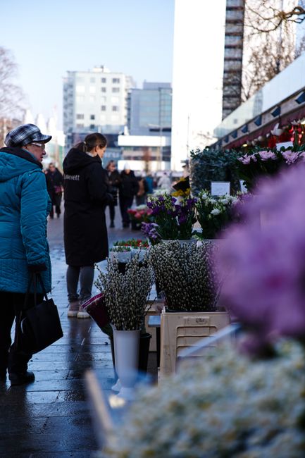 A bustling outdoor flower market with various floral arrangements and bouquets displayed on tables and crates. The flowers include vibrant purple, pink, and white blossoms, some in glass vases and oth